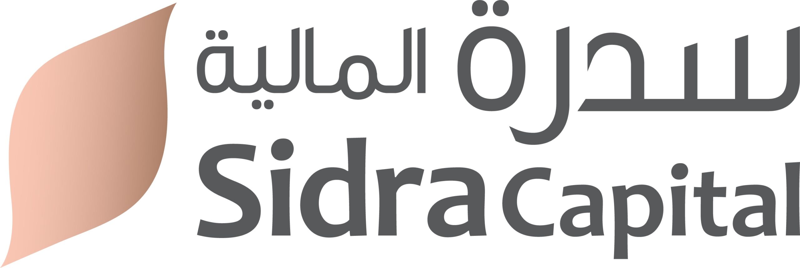 Sidra Capital Master Logo