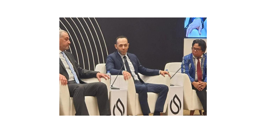 Anchorage Investments steers Egypt's downstream projects towards decarbonization