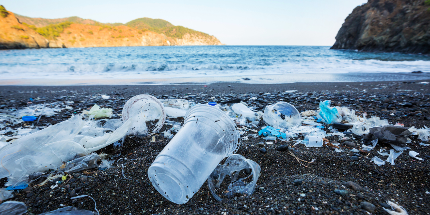 Plastic Pollution In Tourism destination
