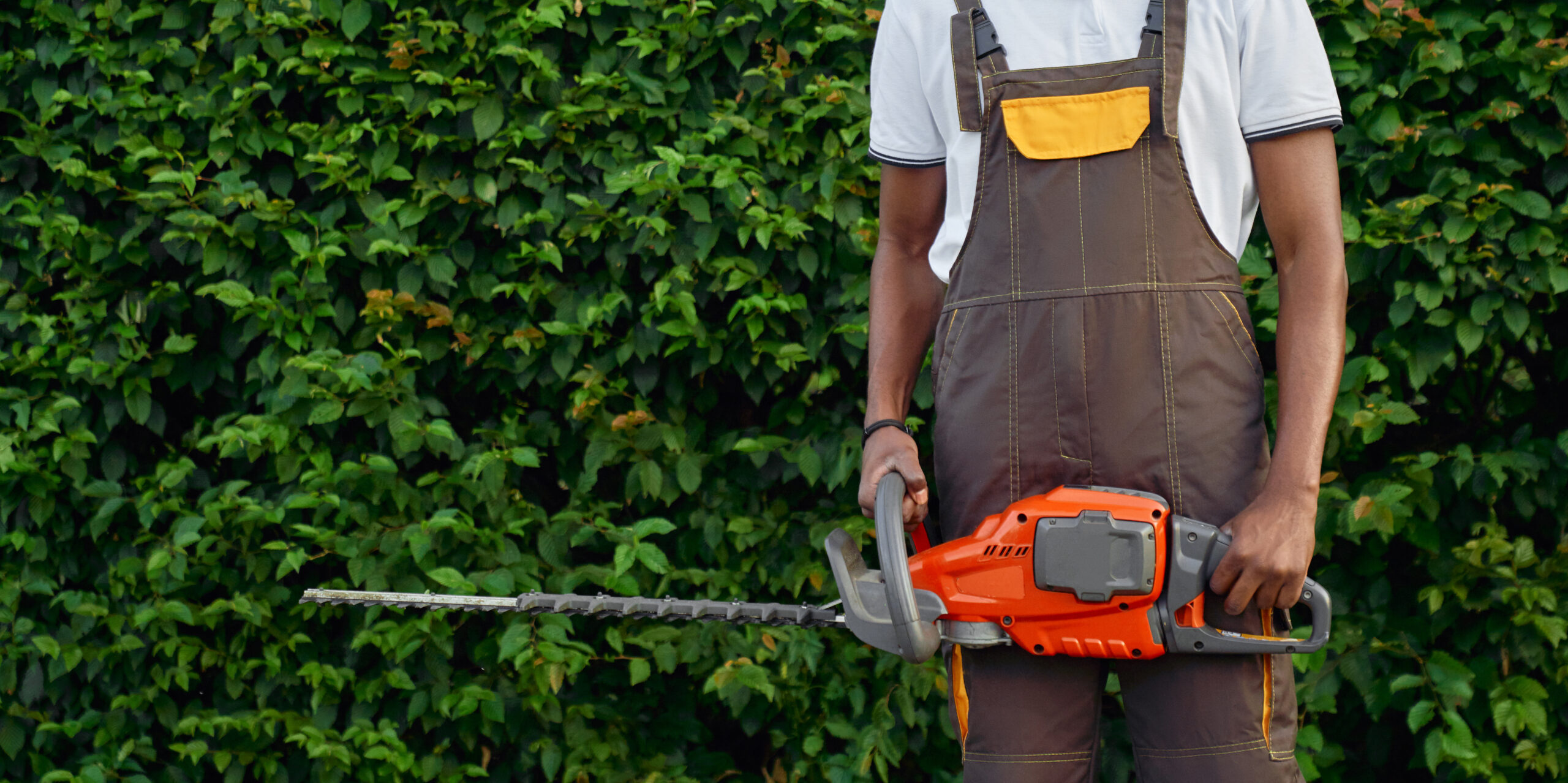 Close up of petrol hedge cutter that holding afro gardener