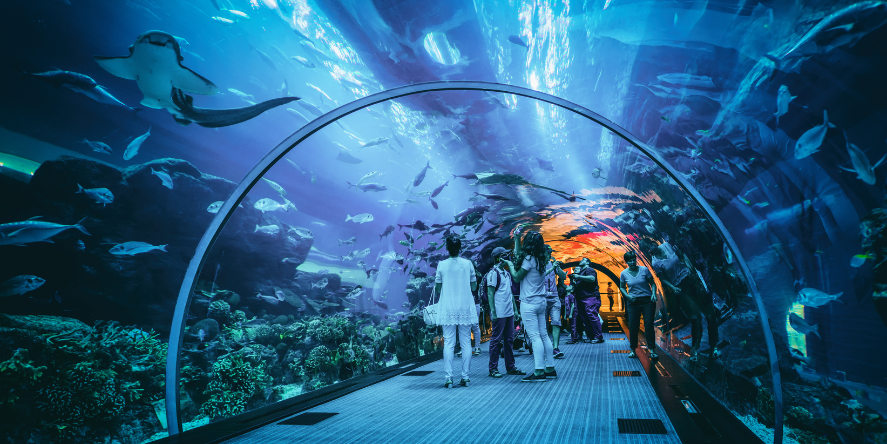 Dubai Aquarium (Representational Image)