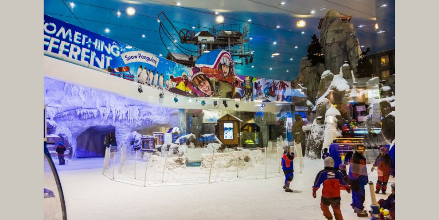 Ski Dubai (Representational Image)