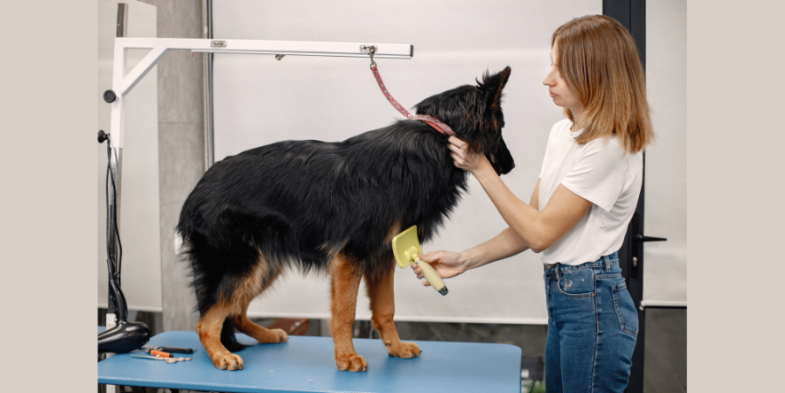 Representational Image (Image Courtesy: prostooleh taken from Freepik)