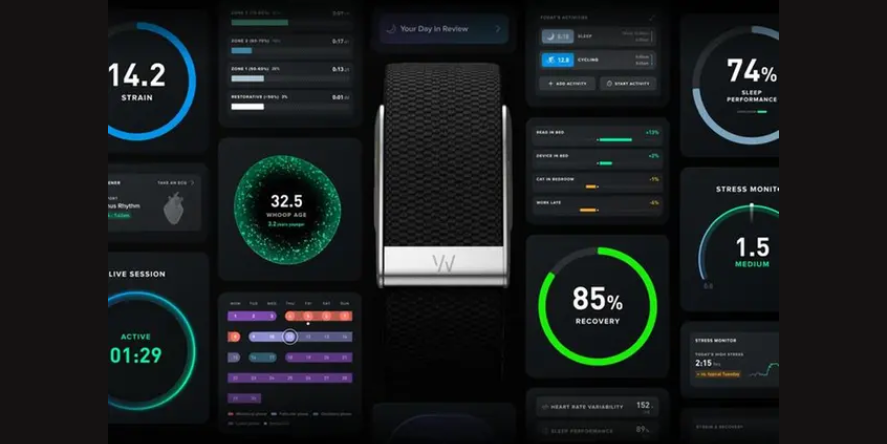 2PointZero Group announced its investment in the Series G preferred equity financing of Whoop, Inc. Image courtesy: 2PointZero Group