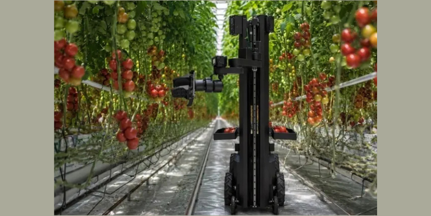 The new robot introduces a paradigm shift in the concept of agricultural automation and smart farming. Image Courtesy: Egrobots