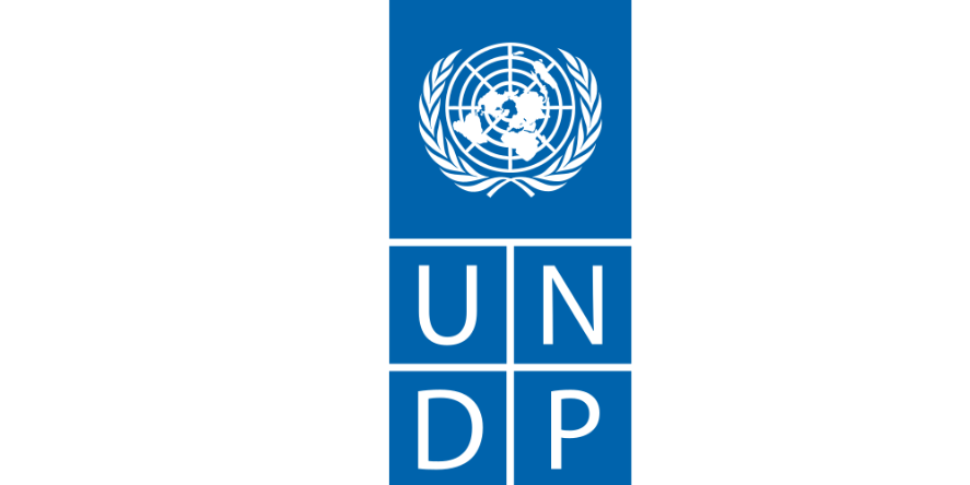 Image: UNDP Official website