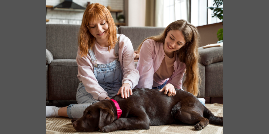The Ultimate Spot for a Pet-Inclusive Wellness Retreat (Image Courtesy: Magnific)