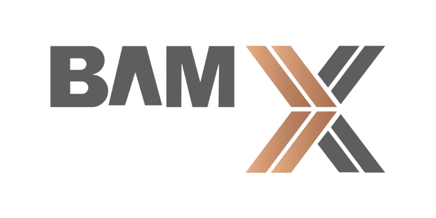 Image Courtesy: BAMX Developments Official website