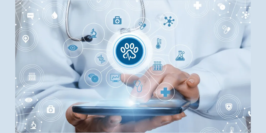 Since their launch in 2024, Bupa CareConnect digital consultation services have grown more than fivefold. Image Courtesy: Bupa